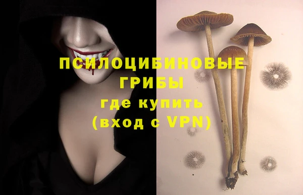 бошки Аркадак