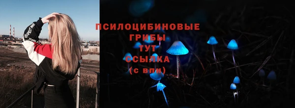 бошки Аркадак