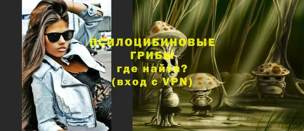 бошки Аркадак