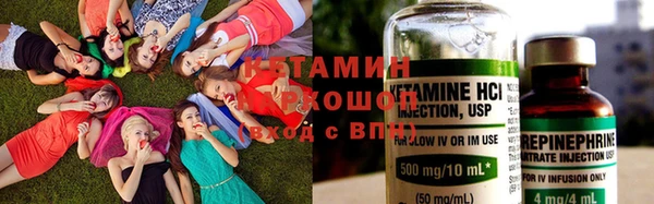 сатива Армянск