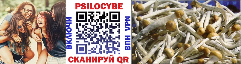 Купить где  Белово  Псилоцибиновые грибы GOLDEN TEACHER 